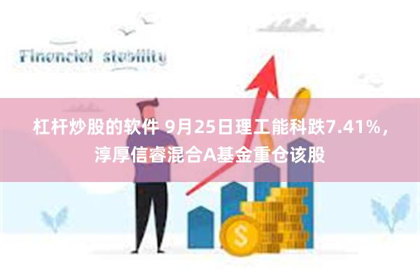 杠杆炒股的软件 9月25日理工能科跌7.41%，淳厚信睿混合A基金重仓该股