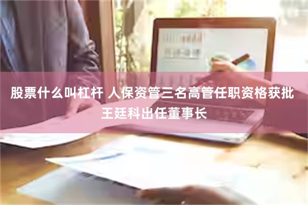 股票什么叫杠杆 人保资管三名高管任职资格获批 王廷科出任董事长