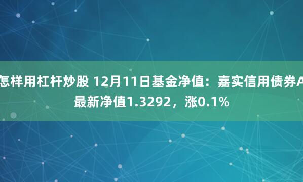 怎样用杠杆炒股 12月11日基金净值：嘉实信用债券A最新净值1.3292，涨0.1%