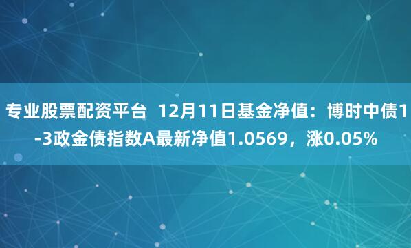 专业股票配资平台  12月11日基金净值：博时中债1-3政金债指数A最新净值1.0569，涨0.05%