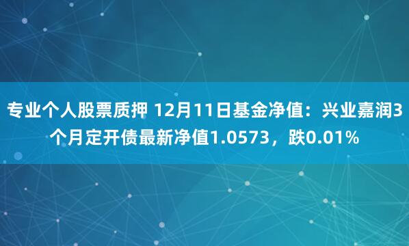 专业个人股票质押 12月11日基金净值：兴业嘉润3个月定开债最新净值1.0573，跌0.01%