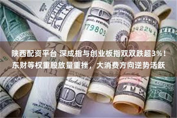 陕西配资平台 深成指与创业板指双双跌超3%！东财等权重股放量重挫，大消费方向逆势活跃