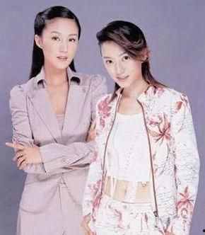 我的妻子的妹妹演员表,妻子妹妹的演艺生涯回顾